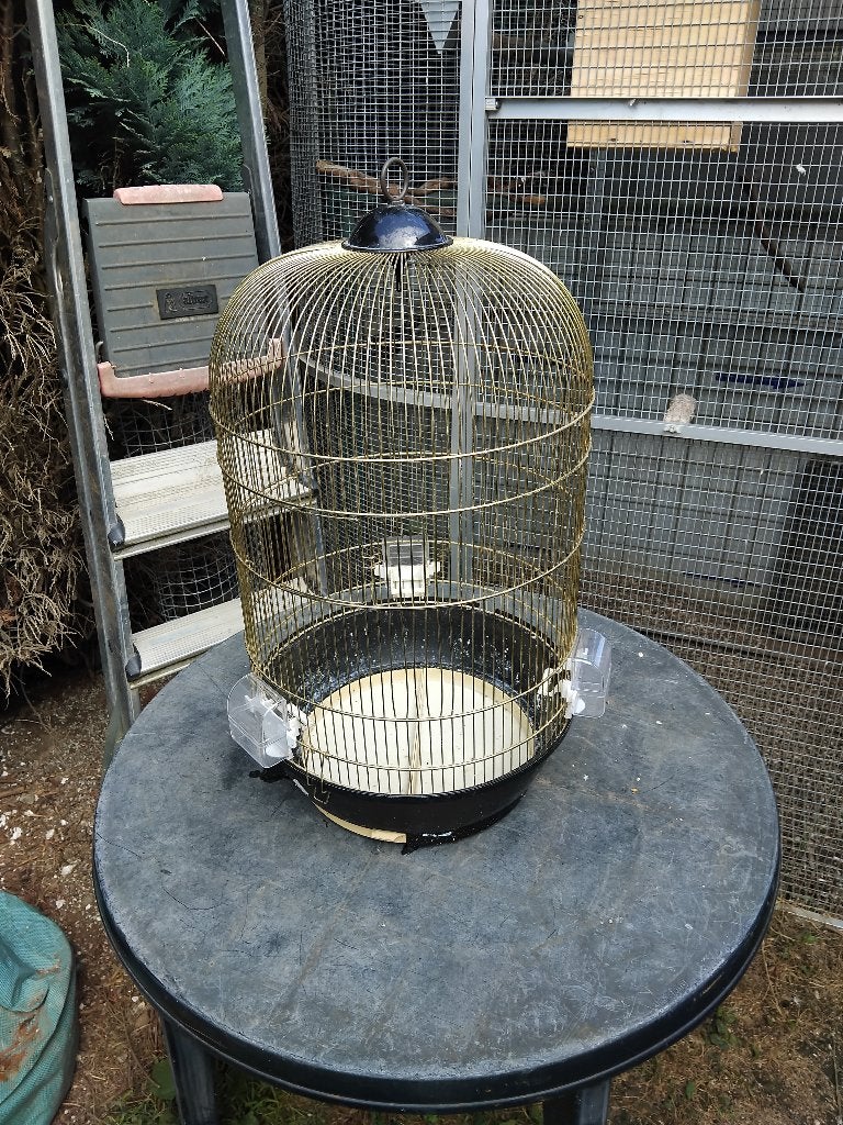 Cage ronde, Enlèvement, Utilisé, Métal, Cage à oiseaux