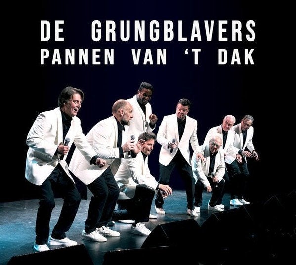 Cd De grungblavers, pannen van ´t dak (2019), Cd's en Dvd's, Cd's | Nederlandstalig, Ophalen of Verzenden, Zo goed als nieuw, Streekmuziek