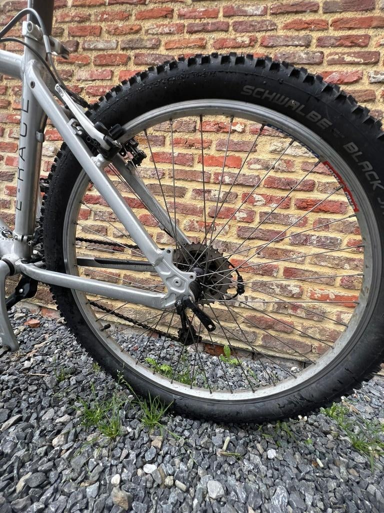 Mountainbike, Fietsen en Brommers, Gebruikt, Hardtail, Heren, Ophalen