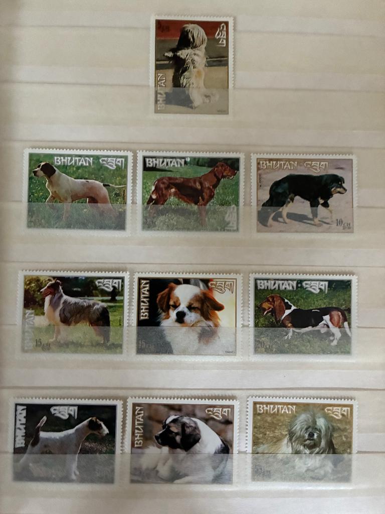 THEMA DIEREN HONDEN XX POSTFRIS, Verzenden, Postfris, Dier of Natuur