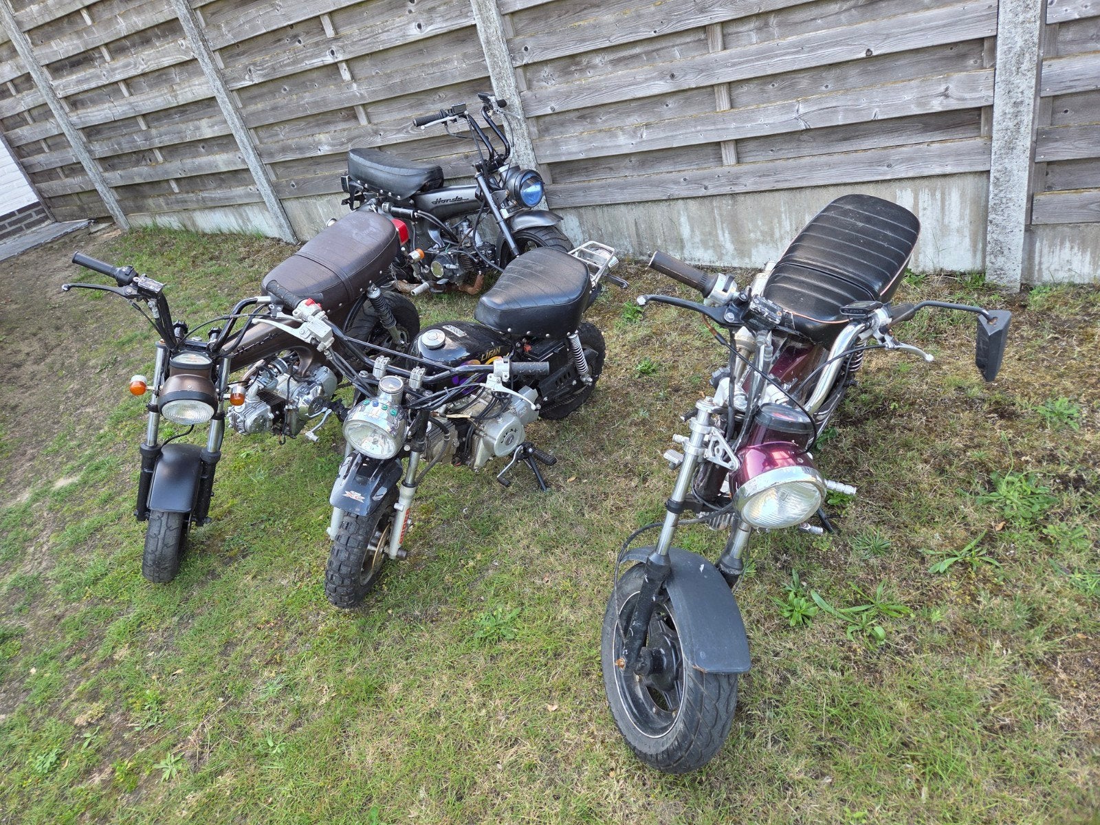 10 x dax, Fietsen en Brommers, Brommers | Overige merken, Ophalen