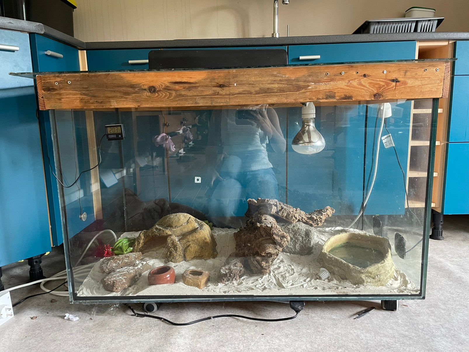 terrarium/ oud aquarium met deksel, Ophalen, Zo goed als nieuw