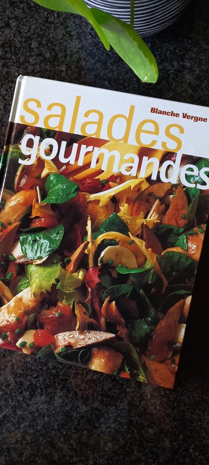 Salades gourmandes., Enlèvement ou Envoi, Utilisé, Blanche Vergne
