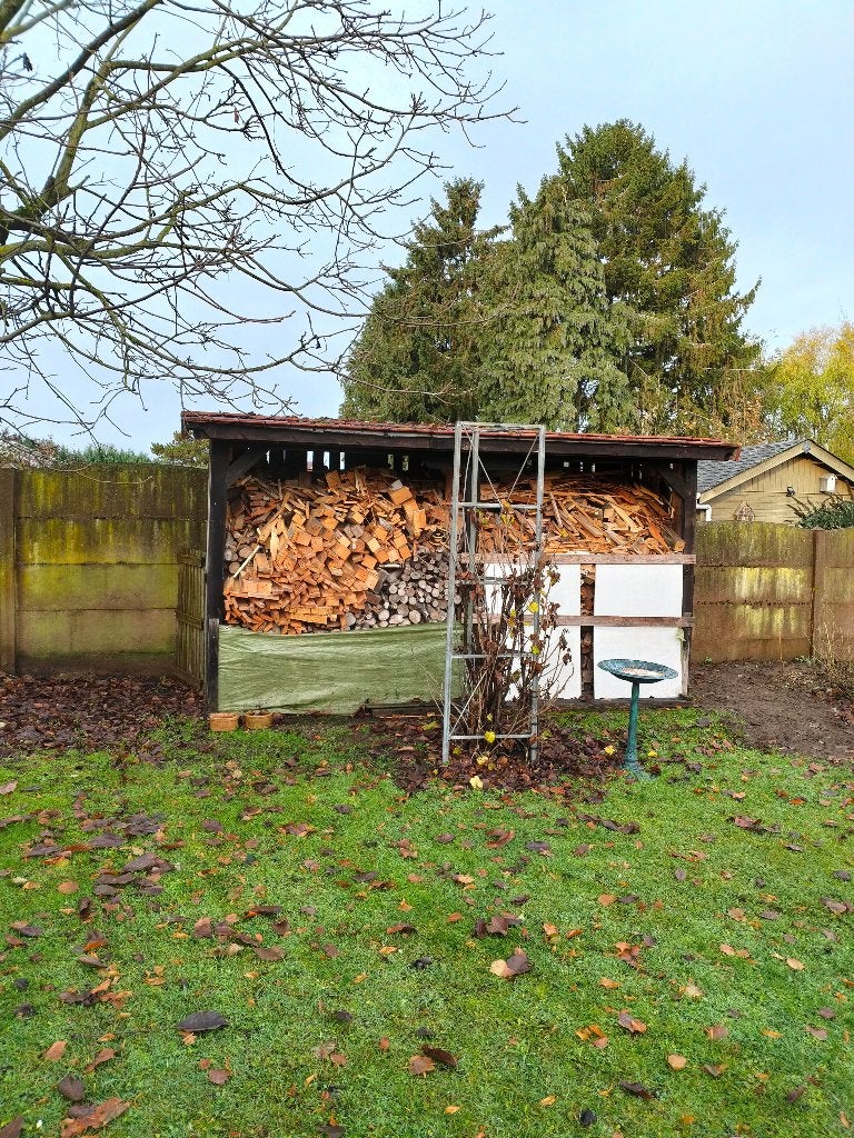 Droog stook hout, Moins de 3 m³, Enlèvement, Autres essences de bois, Troncs d'arbres