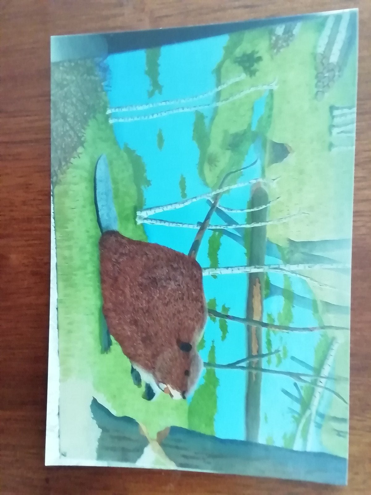 Bever in acktie, Ophalen