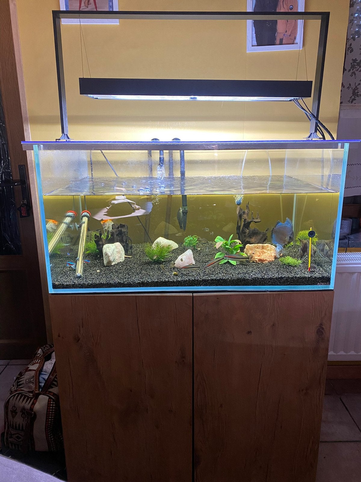 A vendre, Aquarium vide, Comme neuf, Enlèvement, Aquael