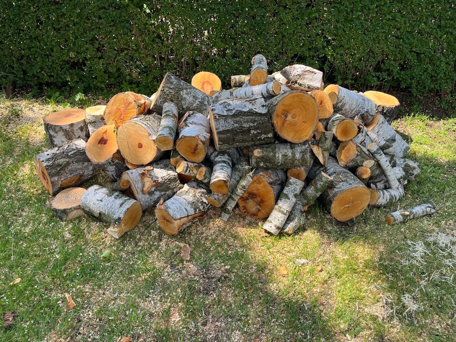 Open haardhout Berken, Tuin en Terras, Minder dan 3 m³, Ophalen, Berkenhout, Blokken