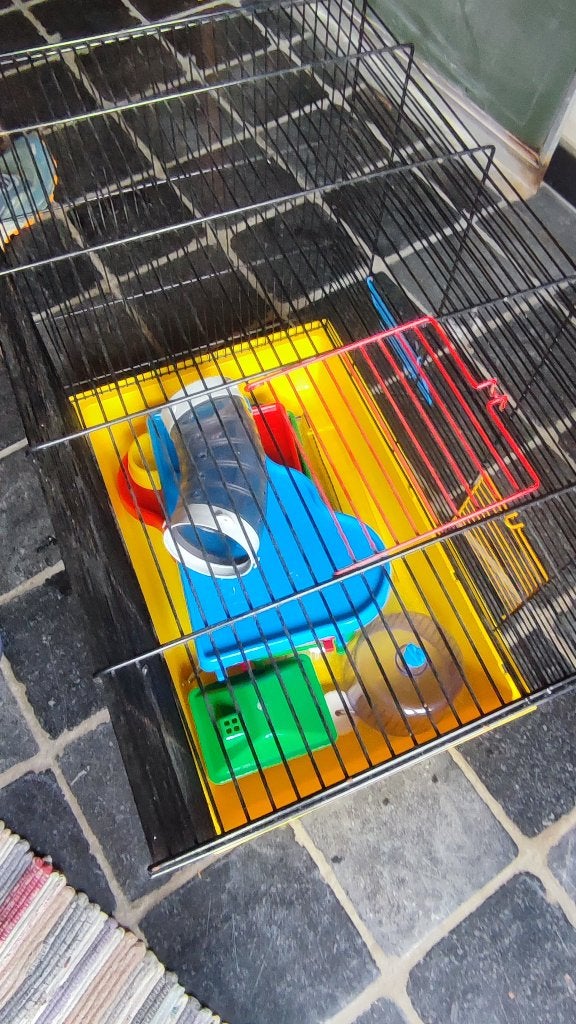 Hamsterkooi, Dieren en Toebehoren, Ophalen, Gebruikt, Kooi, Hamster