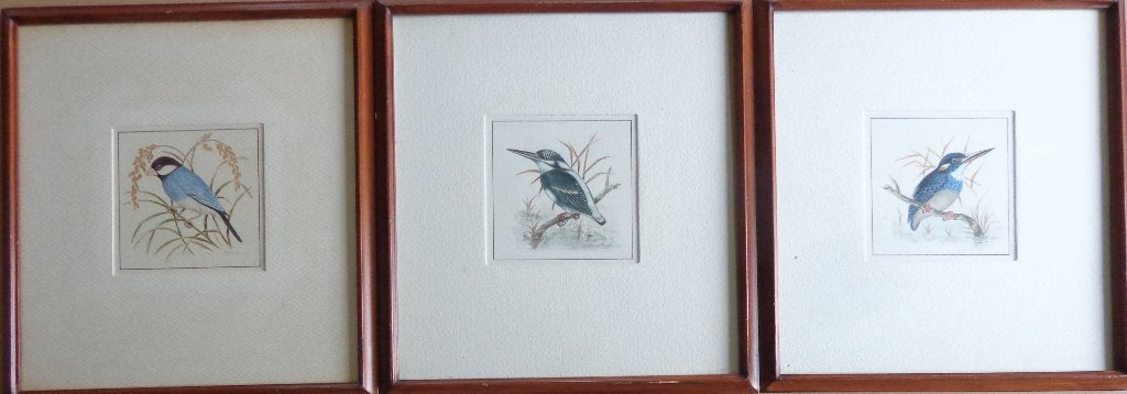 JACOBS / LOT 3 STUKS / VOGELS / ORIGINEEL / 31x29cm / KADER, Antiek en Kunst, Aquarel, Papier/karton, Ophalen of Verzenden, Dieren