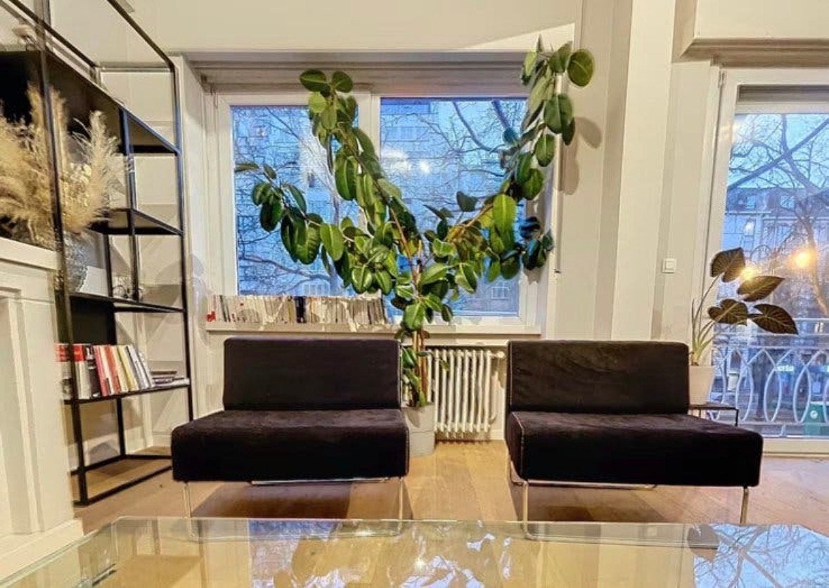 Set de 2 fauteuils Pedrali Host 790, Huis en Inrichting, Fauteuils, Ophalen, Gebruikt, Pedrali, Host 790, Design italien, vintage