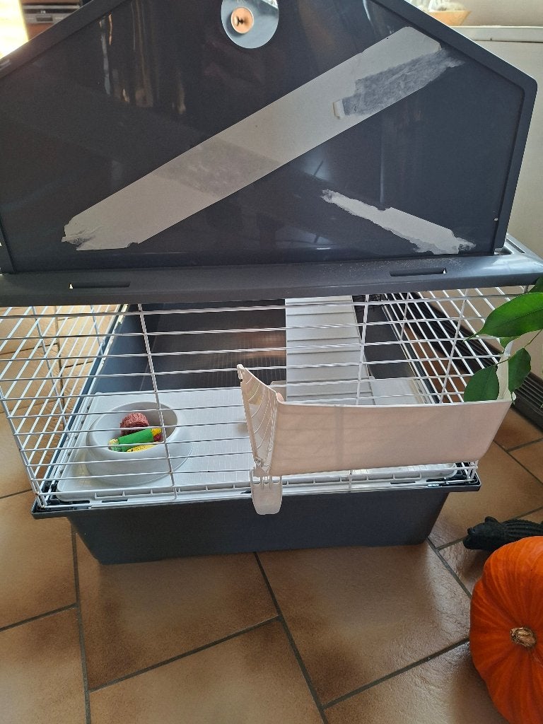 Cage lapin,cochon dinde, Animaux & Accessoires, 90 cm ou plus, Cage, Comme neuf, Cobaye