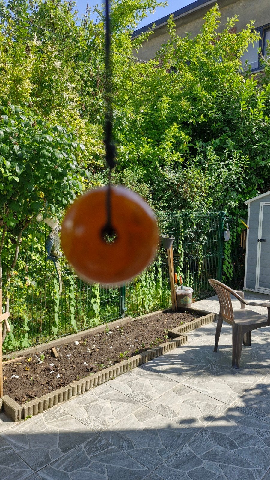 Colier en ambre en très bonne état, Enlèvement ou Envoi