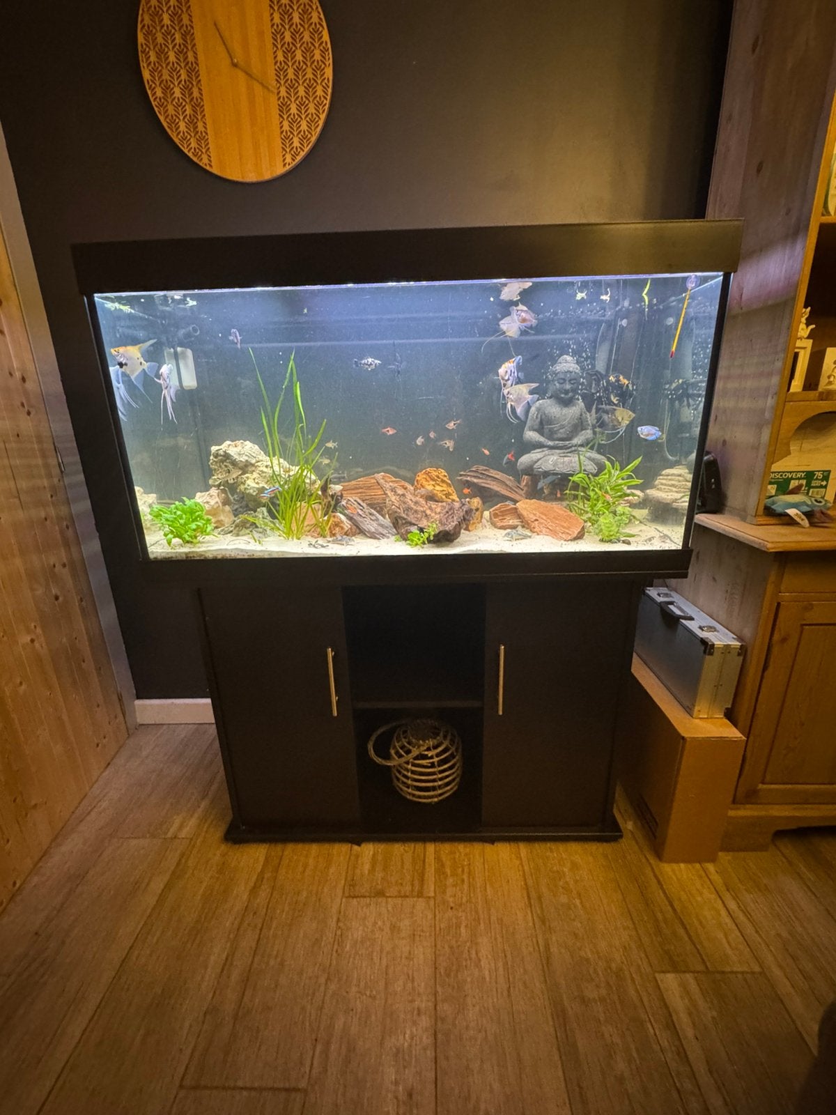 Juwel rio 350L zwart met alles erbij, zonder vissen!, Ophalen, Zo goed als nieuw, Juwel