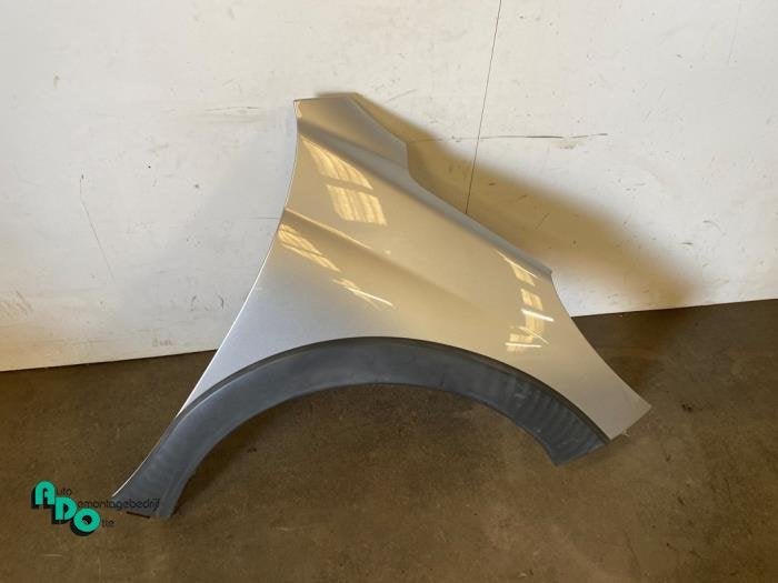 Scherm rechts-voor van een Peugeot 207 (207 06-) (EZRC), Gebruikt, -, -, Ophalen of Verzenden