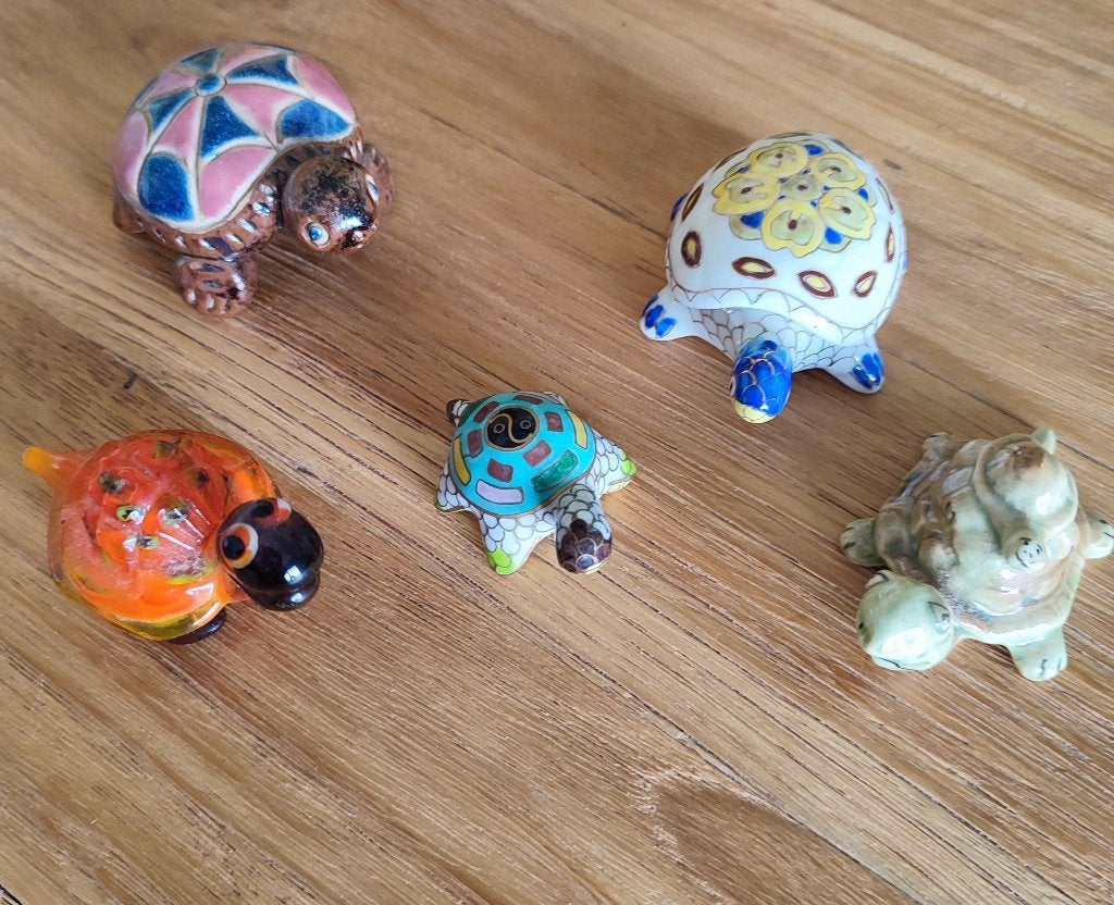 Tortues, séparément ou en lot, Enlèvement ou Envoi, Comme neuf, Animal