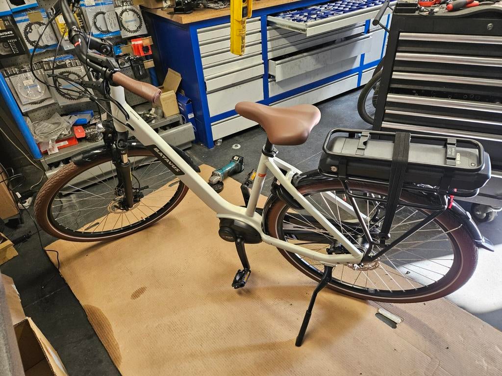 Batavus, Enlèvement