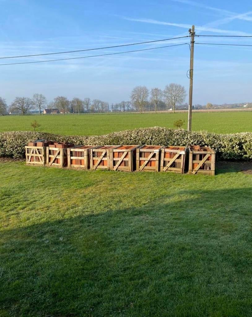Dakpannen te koop, Dieren en Toebehoren
