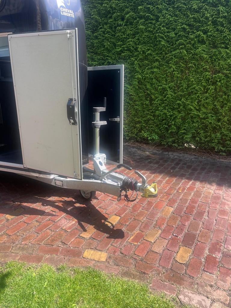Van Cheval Liberté 1.5 2023, Dieren en Toebehoren, Ophalen