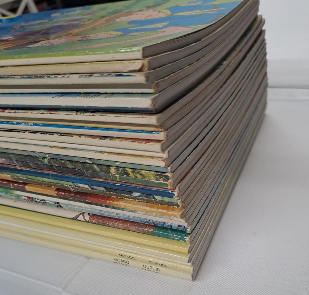 Volledige reeks De Beverpatroelje, Boeken, Ophalen of Verzenden