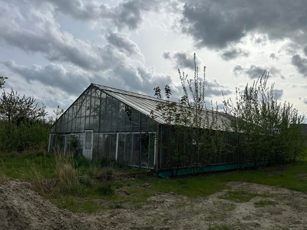Tuinbouw serre, Zakelijke goederen, Ophalen of Verzenden