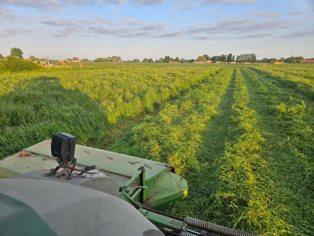 Ronde balen raaigrasklaver voordroog, Dieren en Toebehoren, Dierenvoeding, Ophalen of Verzenden