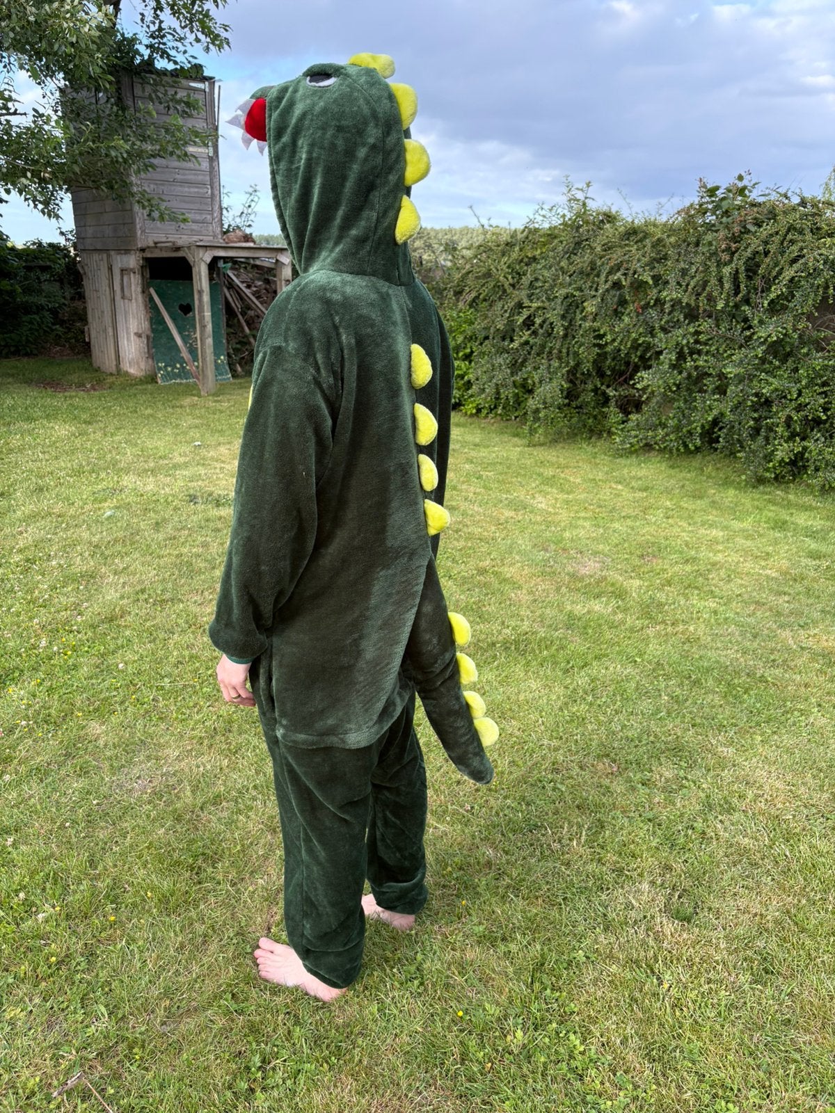 Drakenpak onesie, Ophalen, Zo goed als nieuw, Bovenkleding