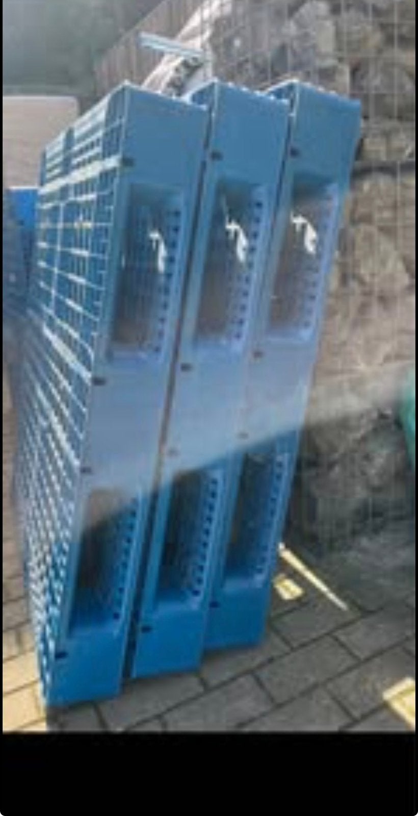 Lot de palettes d'exportation en plastique solides  PP, Enlèvement, Utilisé