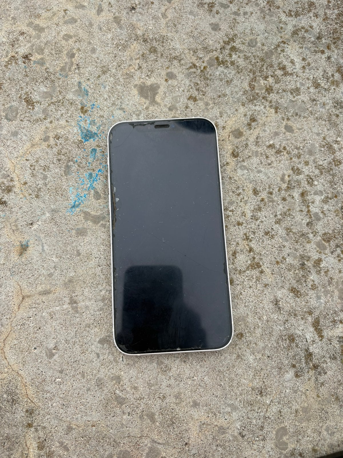 Iphone 12, 128 GB, 77 %, Enlèvement, Utilisé