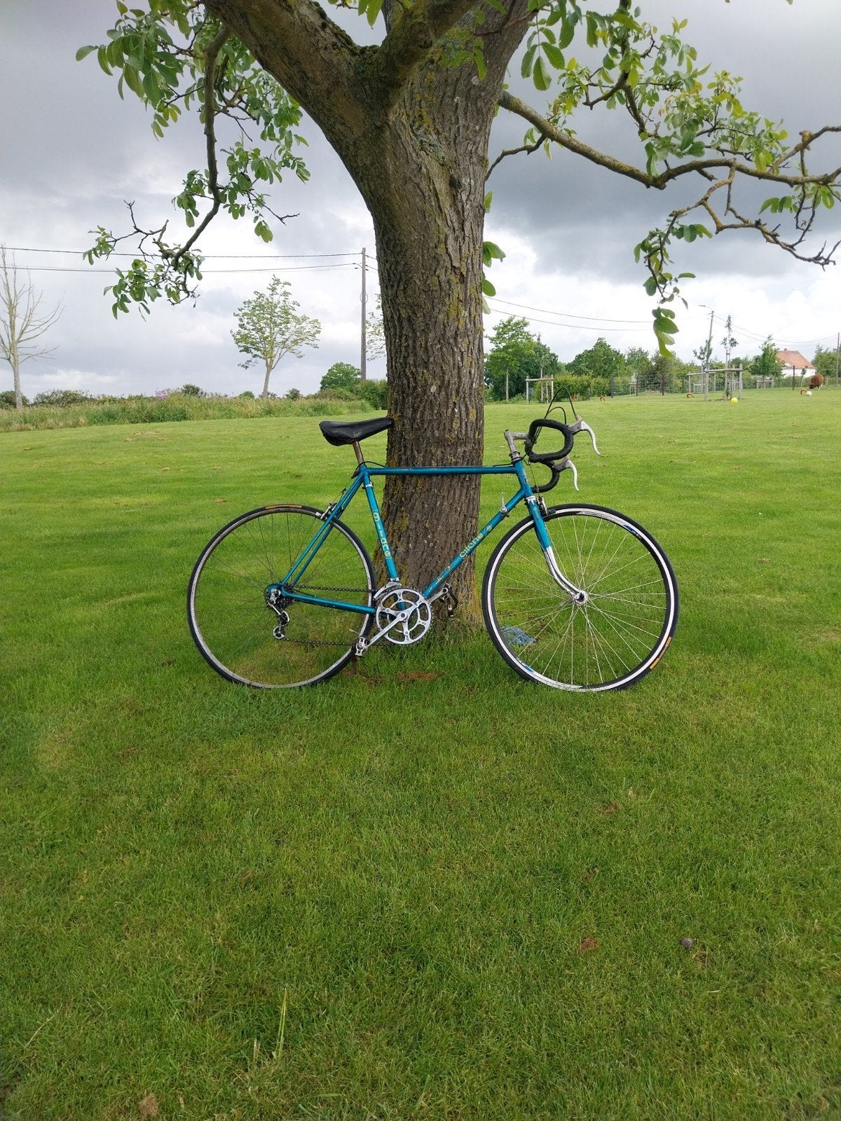 vélo de course Gitane, Autres marques, 10 à 15 vitesses, Frein sur jante, Acier