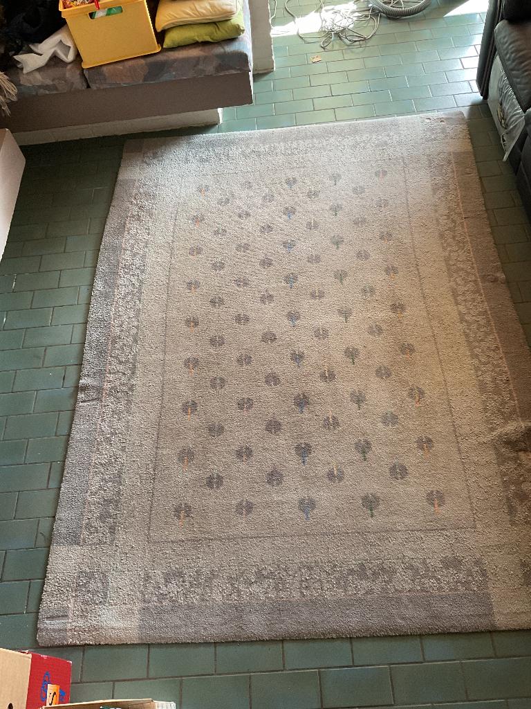 Mooi groot modern tapijt, Ophalen, Gebruikt, 150 tot 200 cm, 200 cm of meer