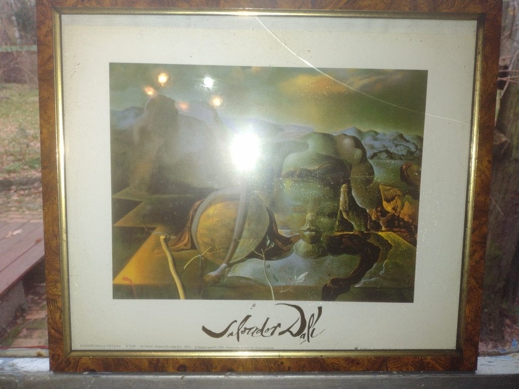 Litho kunstdruk Salvador Dali, Verzenden