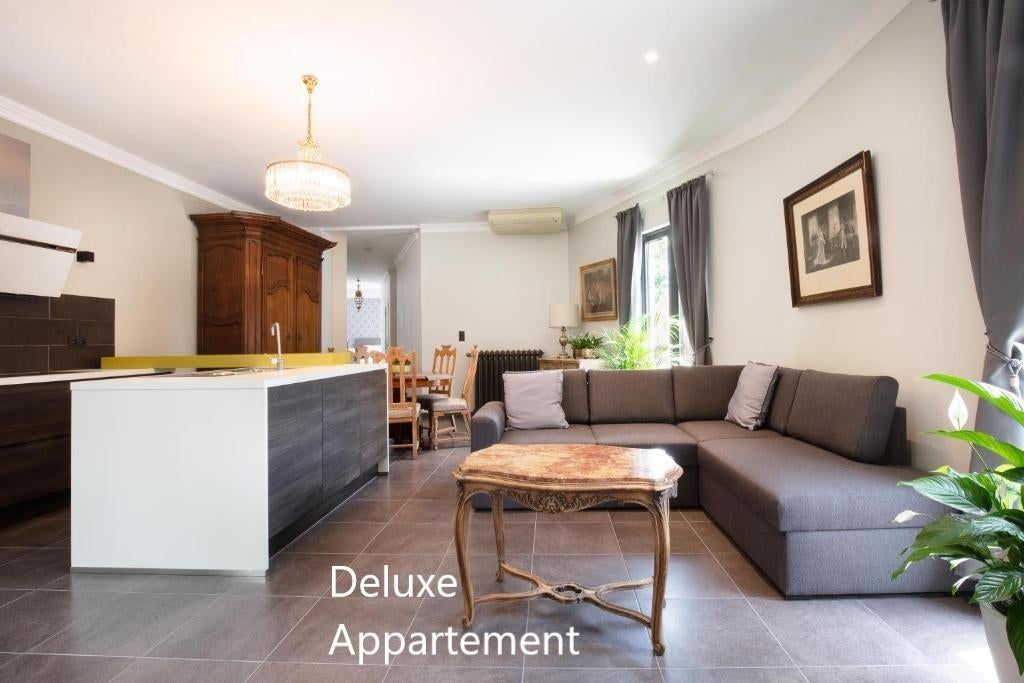 prachtig gemeubeld appartement te huur met 1 slaapkamer, Immo, 85 m², 3 kamers, Tongeren-Borgloon, Appartement