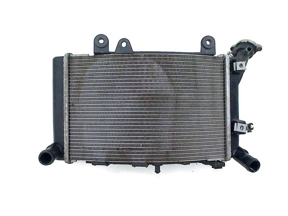 RADIATEUR BMW F 900 R 2018-2022 (F900R K83), Motoren, Dhr. S. di Majo, Gebruikt, Info@cama-motorparts.nl, P.J. Troelstraweg 8 8
3144 CX  MAASSLUIS, NL