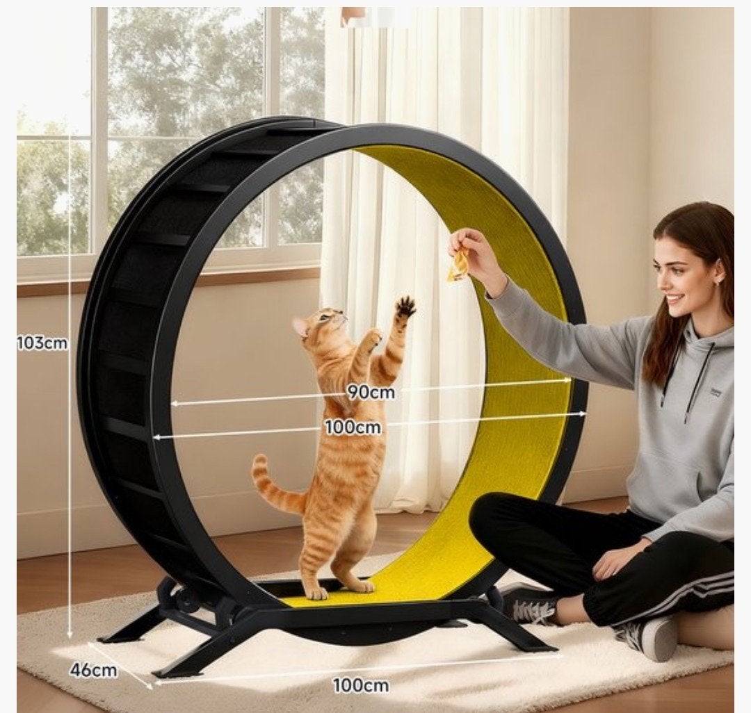 Grote Katten wiel, Animaux & Accessoires, Enlèvement ou Envoi, Comme neuf, Autres jouets