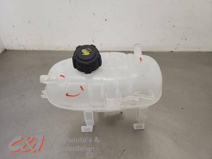 Réservoir d'expansion d'un Renault Trafic, Renault, -, 3 mois de garantie, Utilisé