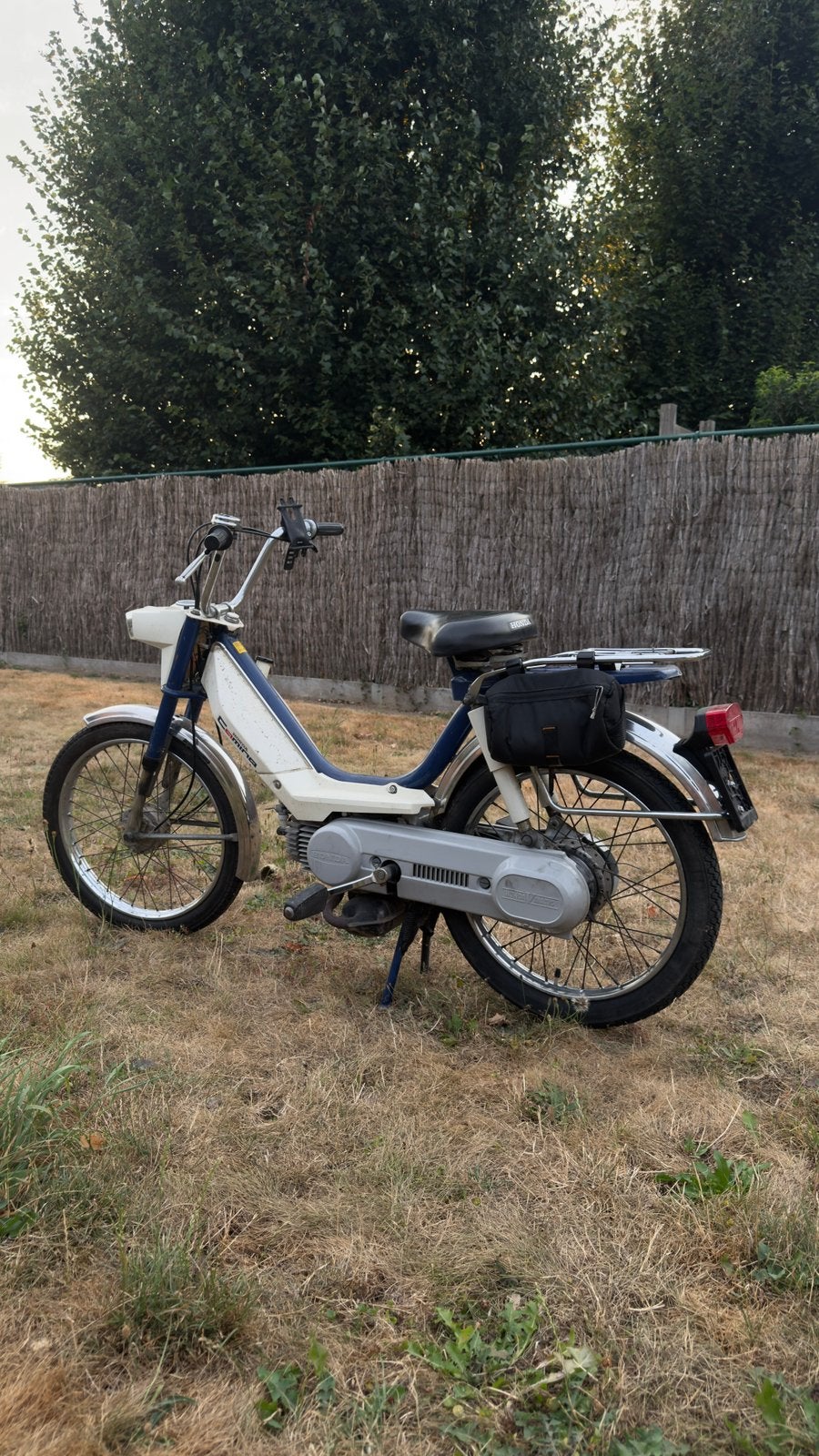 Honda Camino B klasse, Classe B (45 km/h), Enlèvement, Utilisé, 65 cm³