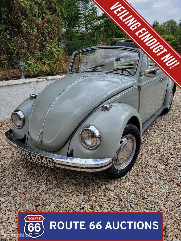 Volkswagen Beetle 1500 | 1969 | Route 66 Auctions, Autos, Achat, Entreprise, Autre carrosserie, Essence