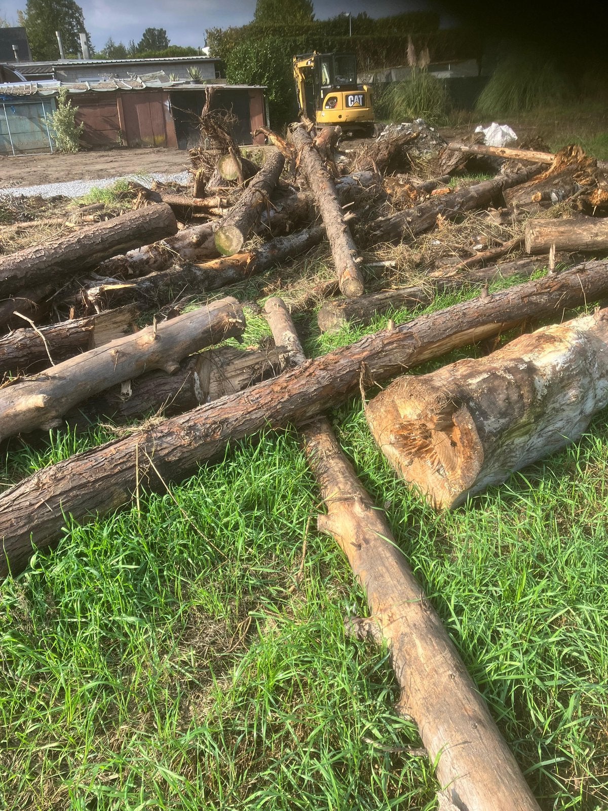 GRATIS HOUT, Tuin en Terras, 6 m³ of meer, Ophalen, Stammen