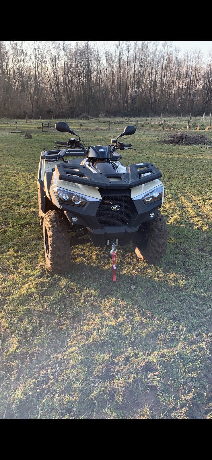 Quad