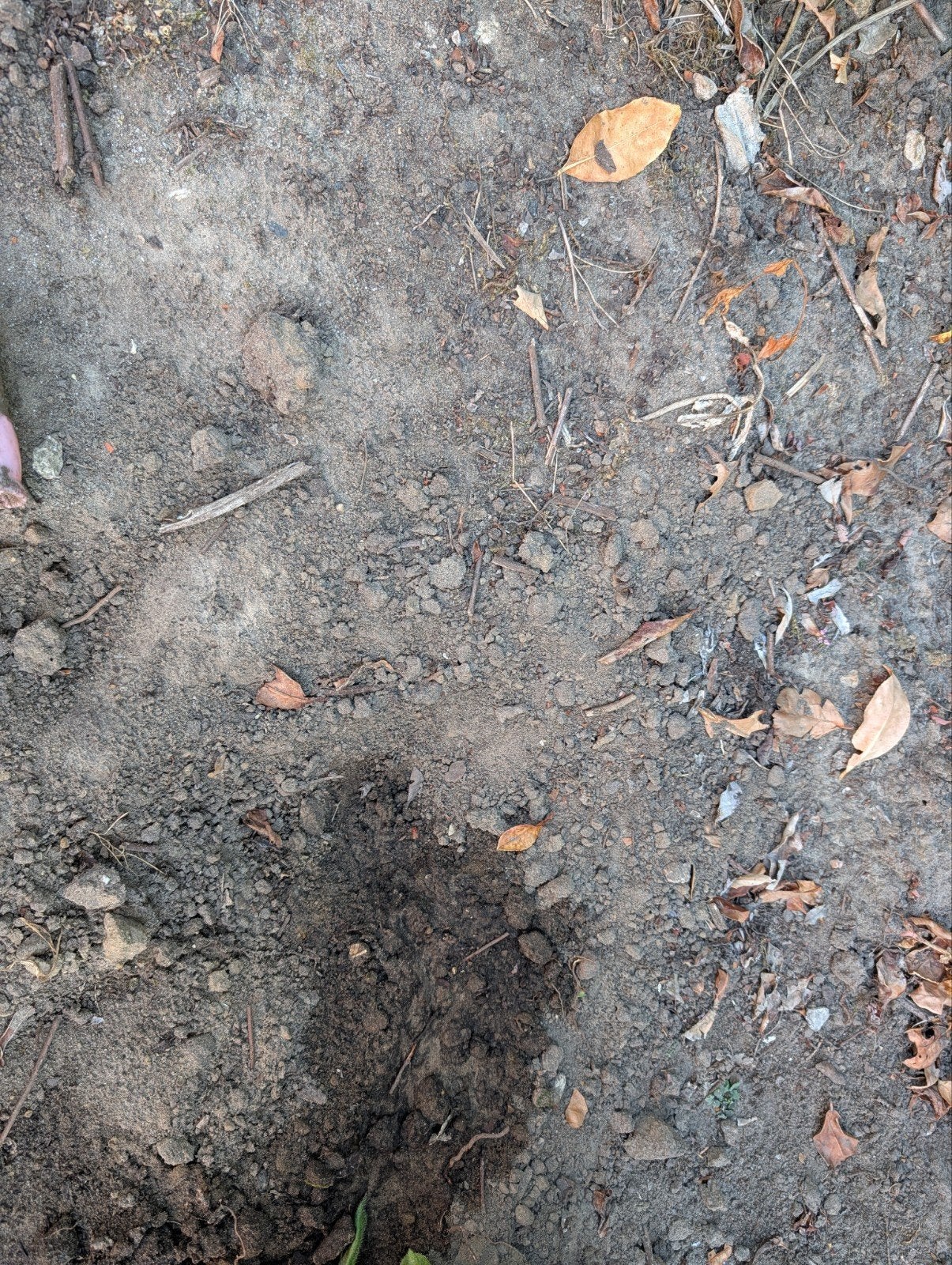 GRATIS: ca. 30-50 m³ schone tuingrond/vulgrond, Tuin en Terras, Ophalen, Tuinaarde