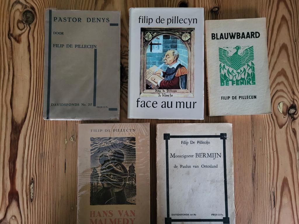 5x Filip De Pillecyn, Boeken, Ophalen of Verzenden, Gelezen