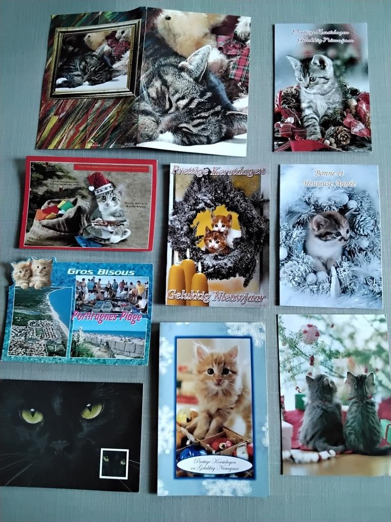 Lot de 9 cartes postales avec de beaux chats, Collections, Cartes postales | Animaux, Enlèvement ou Envoi, 1980 à nos jours, Chien ou Chat