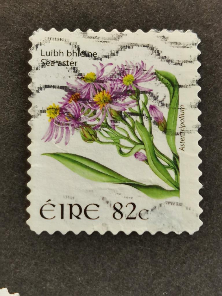 Ierland 2008 - wilde bloemen - zeeaster - zelfklevend groot, Ophalen of Verzenden, Ierland, Gestempeld