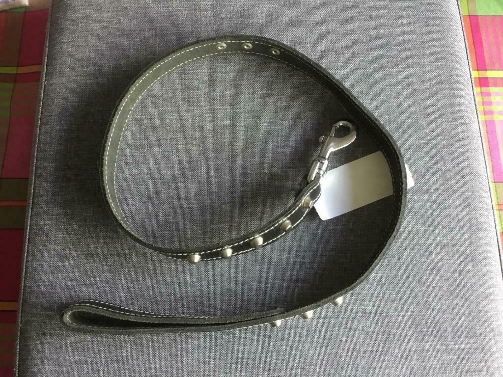 Nieuwe lederen hondenleiband, Ophalen of Verzenden, Nieuw
