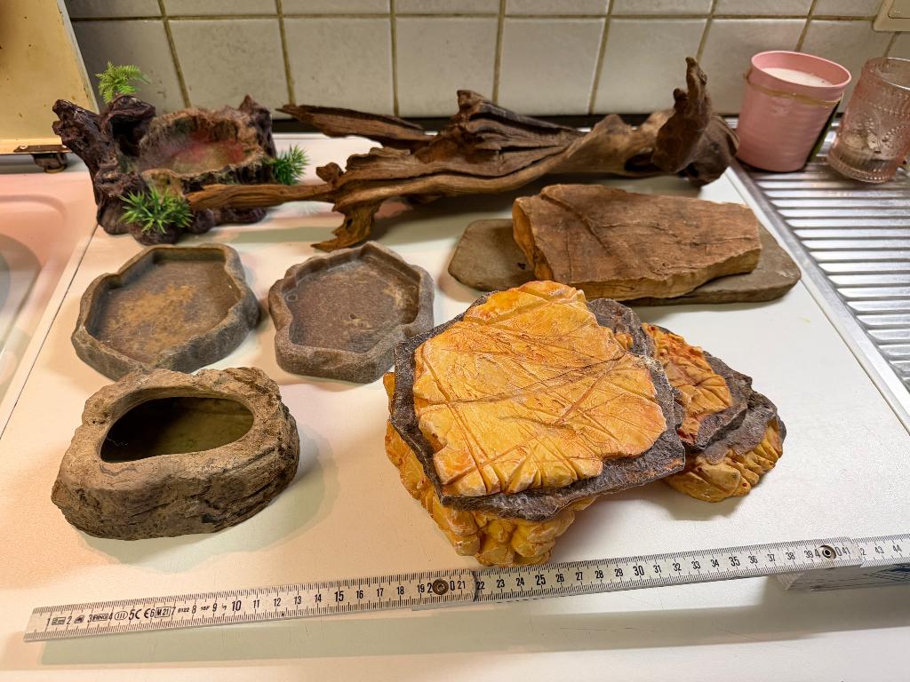 Interieur/ accessoires terrarium, Ophalen, Gebruikt, Tak, Plant, Rots of Steen