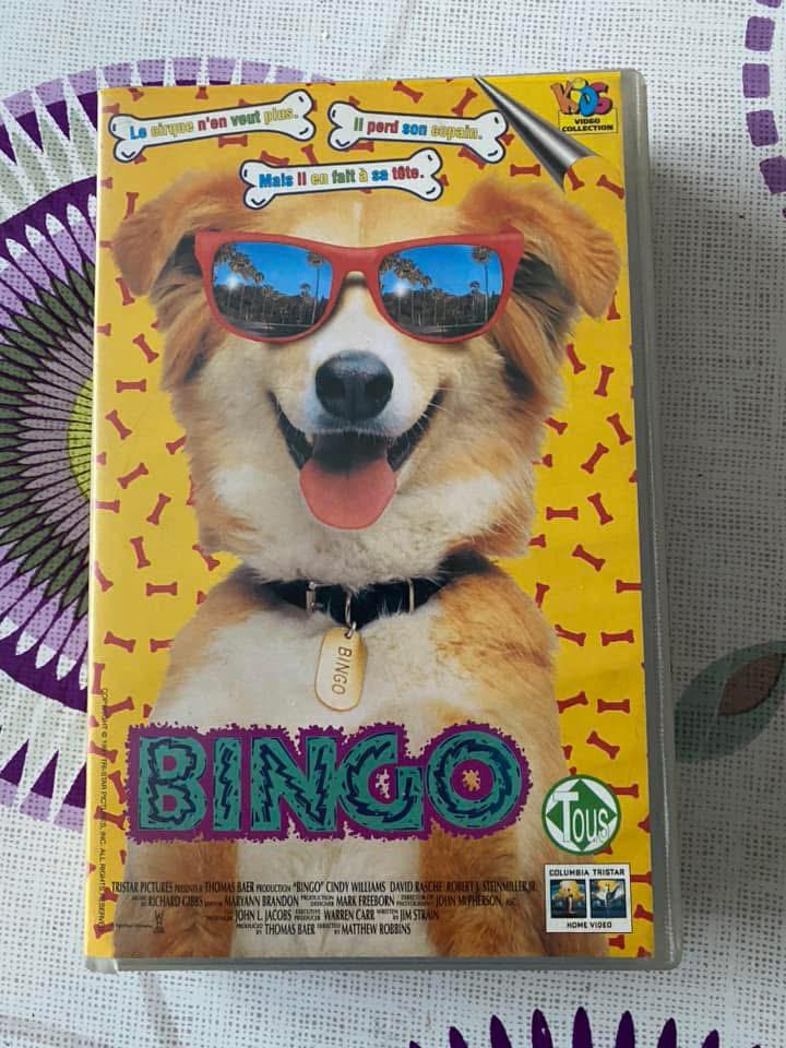 Bingo est un film (1991)  :  Bingo, jeune chien, Enlèvement ou Envoi