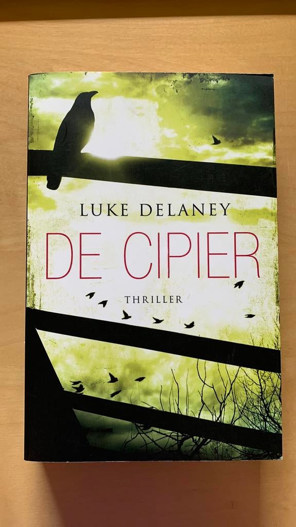Luke Delaney - De cipier, Boeken, Ophalen of Verzenden, Zo goed als nieuw, Luke Delaney