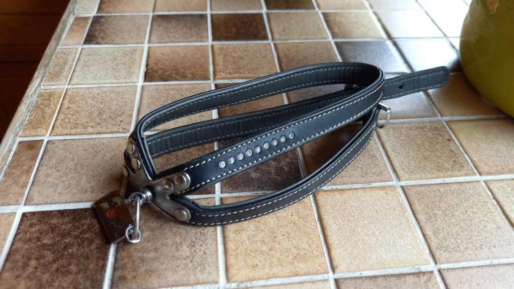 Springtuigje Jack and vanilla, Dieren en Toebehoren, Honden-accessoires, Ophalen of Verzenden