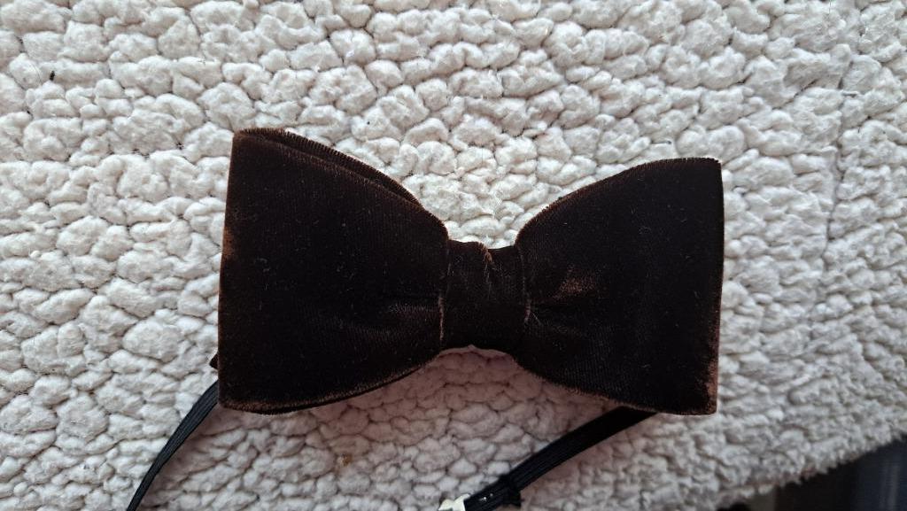 homme noeud papillon velours brun années 70, Enlèvement ou Envoi, Brun