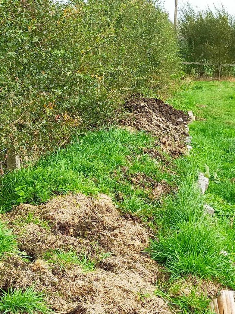 gratis gecomposteerde paardenmest, Tuin en Terras, Ophalen, Compost